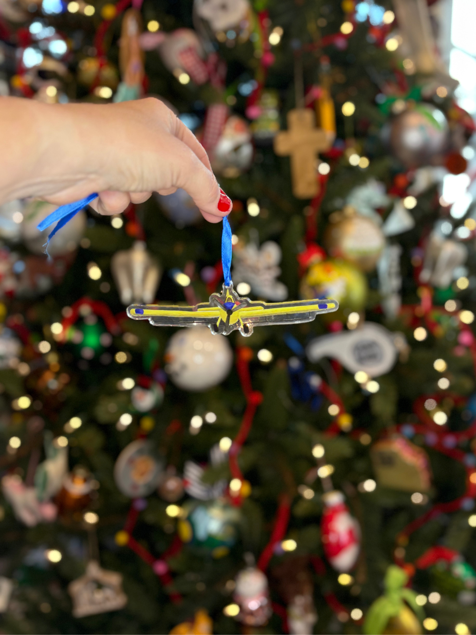 Casey Andrews Art – Großhandel Verzierung – Acryl-Ornament Crop Duster, Landwirtschaftsflugzeug0