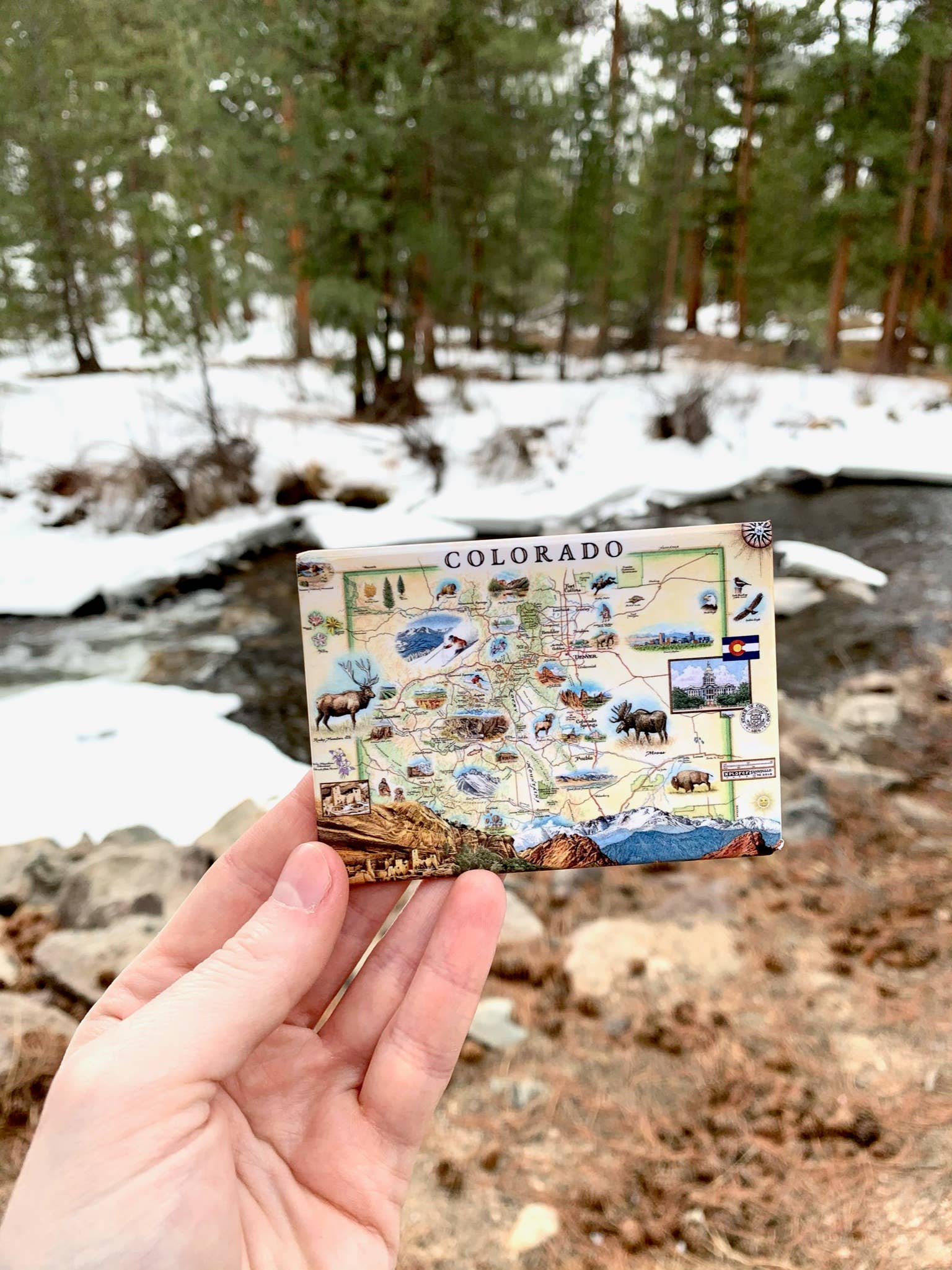 XPLORER MAPS - Vendita all'ingrosso Calamite - Magnete dello stato del Colorado1