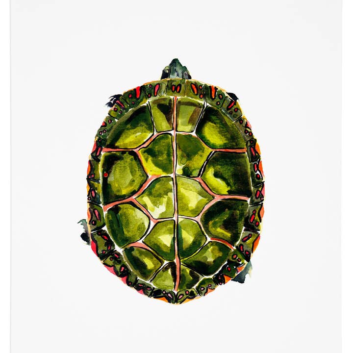 Impression d'art de tortue peinte pour la vente par J6R6