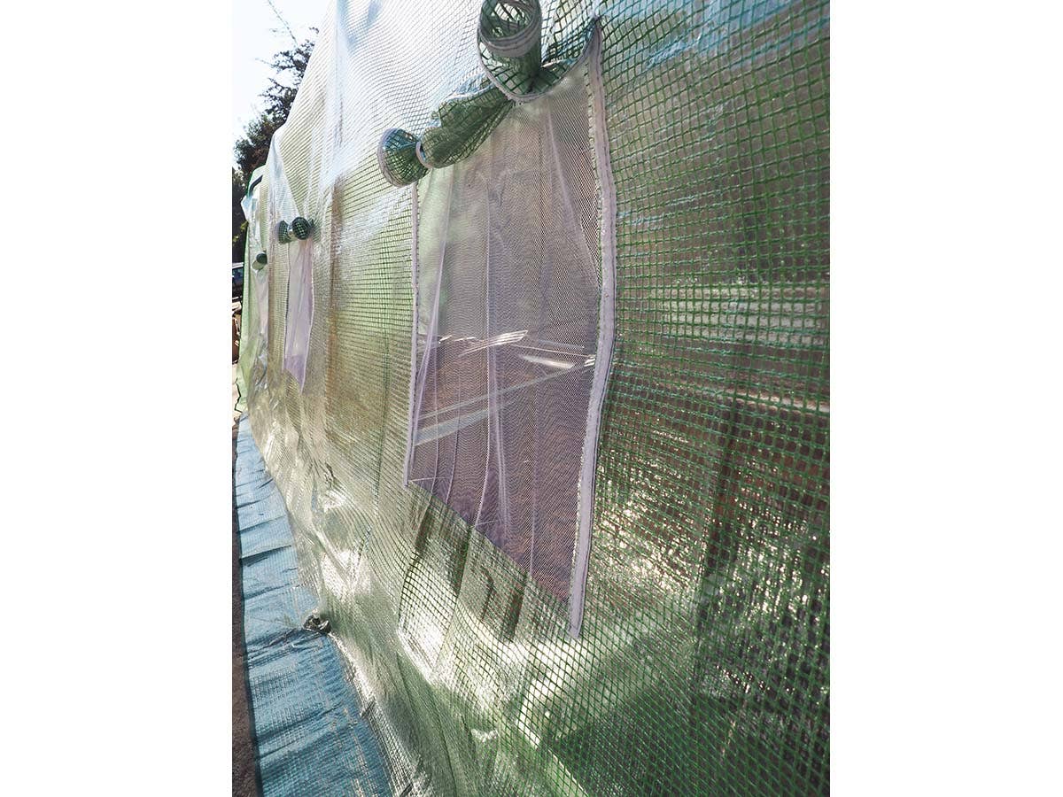 JARDIN Y NATURA OUTDOOR & GARDEN PRODUCTS SL - Wholesale Tent - PU tunnel greenhouse 300x600x200 - TUNNEL WIDE PRO2