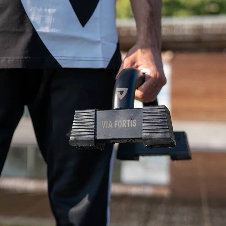 Via Fortis - Wholesale Fitness Equipment - Premium Parallettes Bars2