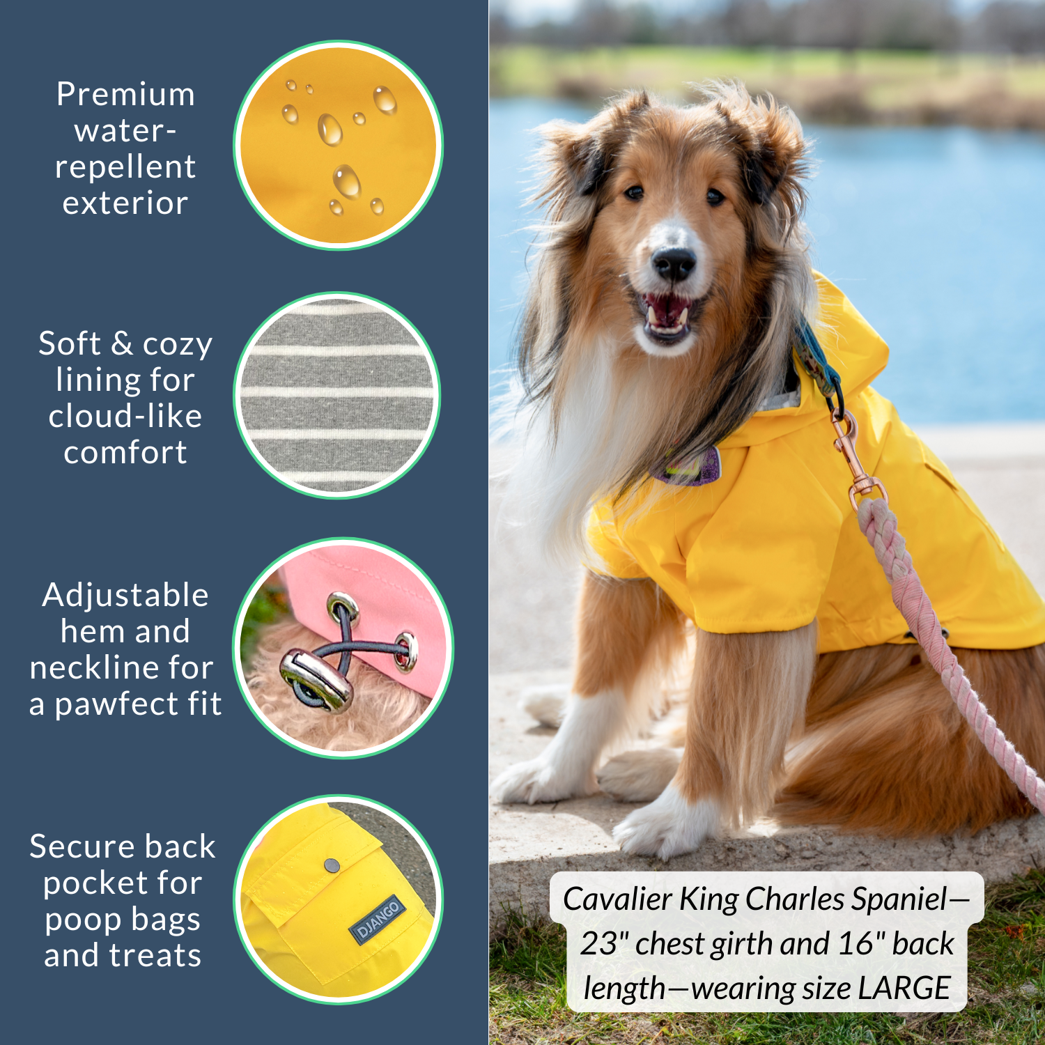 DJANGO - Wholesale Pet Raincoat - Dog - Highland Dog Jacket and Raincoat - Dandelion Yellow3