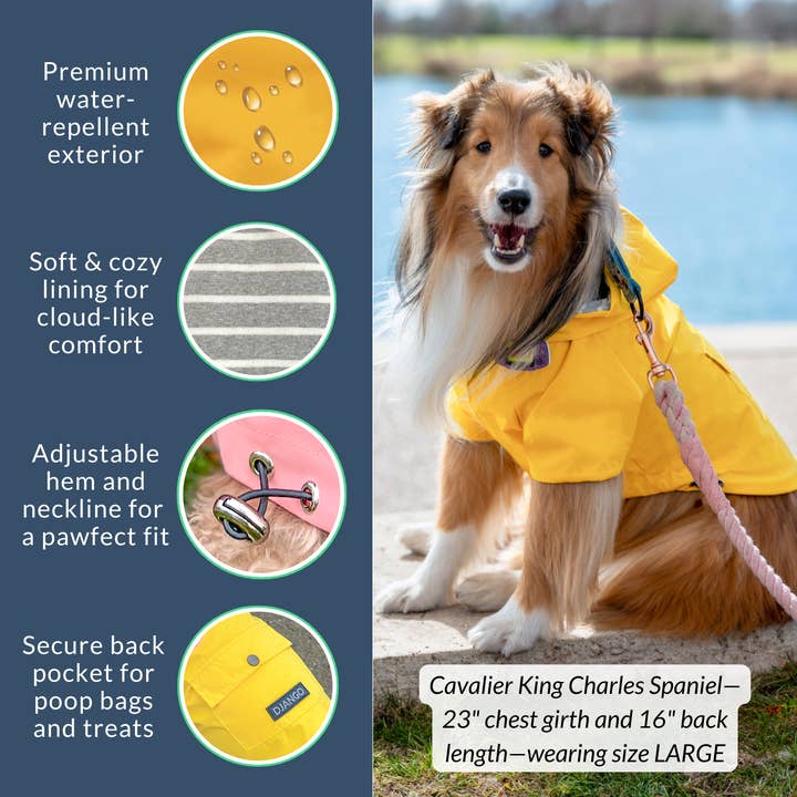 DJANGO - Wholesale Pet Raincoat - Dog - Highland Dog Jacket and Raincoat - Dandelion Yellow3
