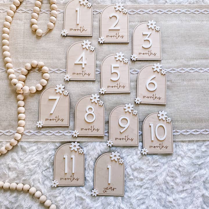 Claire and Bella - Wholesale Milestone Art/Keepsake - Kids & Baby - Wooden Monthly Milestone Set - Daisy10