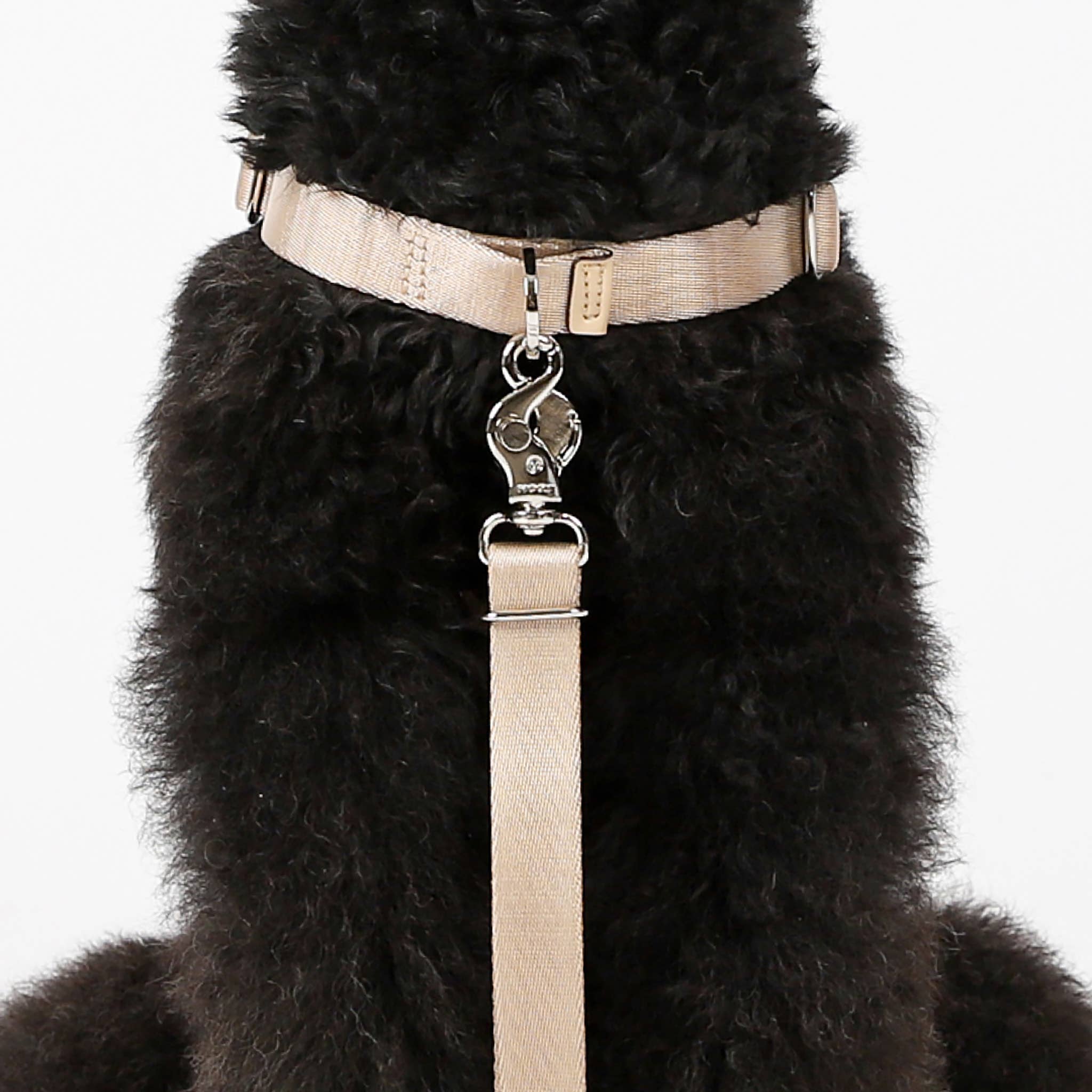 Hozi - Wholesale Pet Harness - Dog - Horsebit Harness : Black5