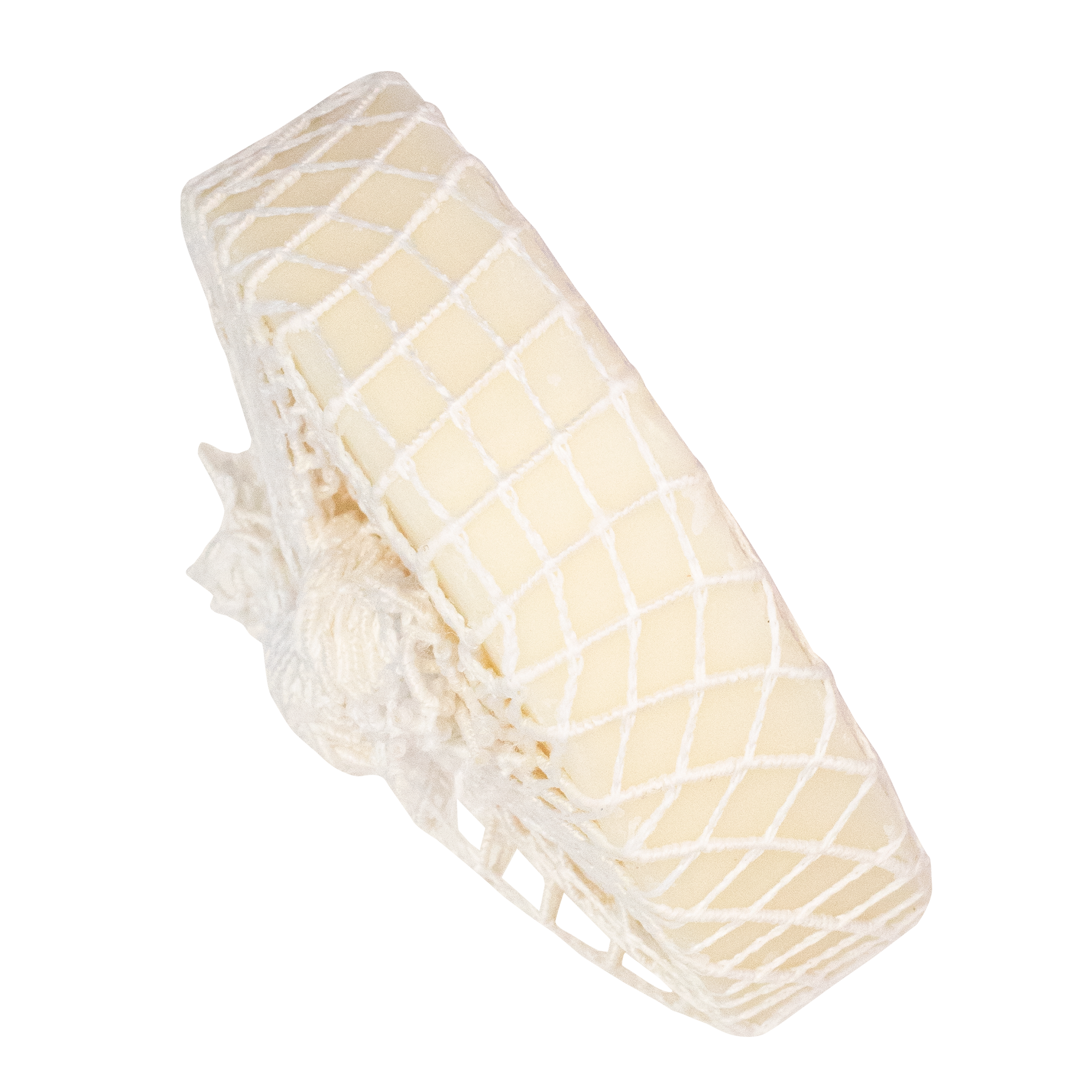 Downunder Wash Co - Wholesale Stain remover - Tuffy Stain Remover with Net - Australian Bush Mint2