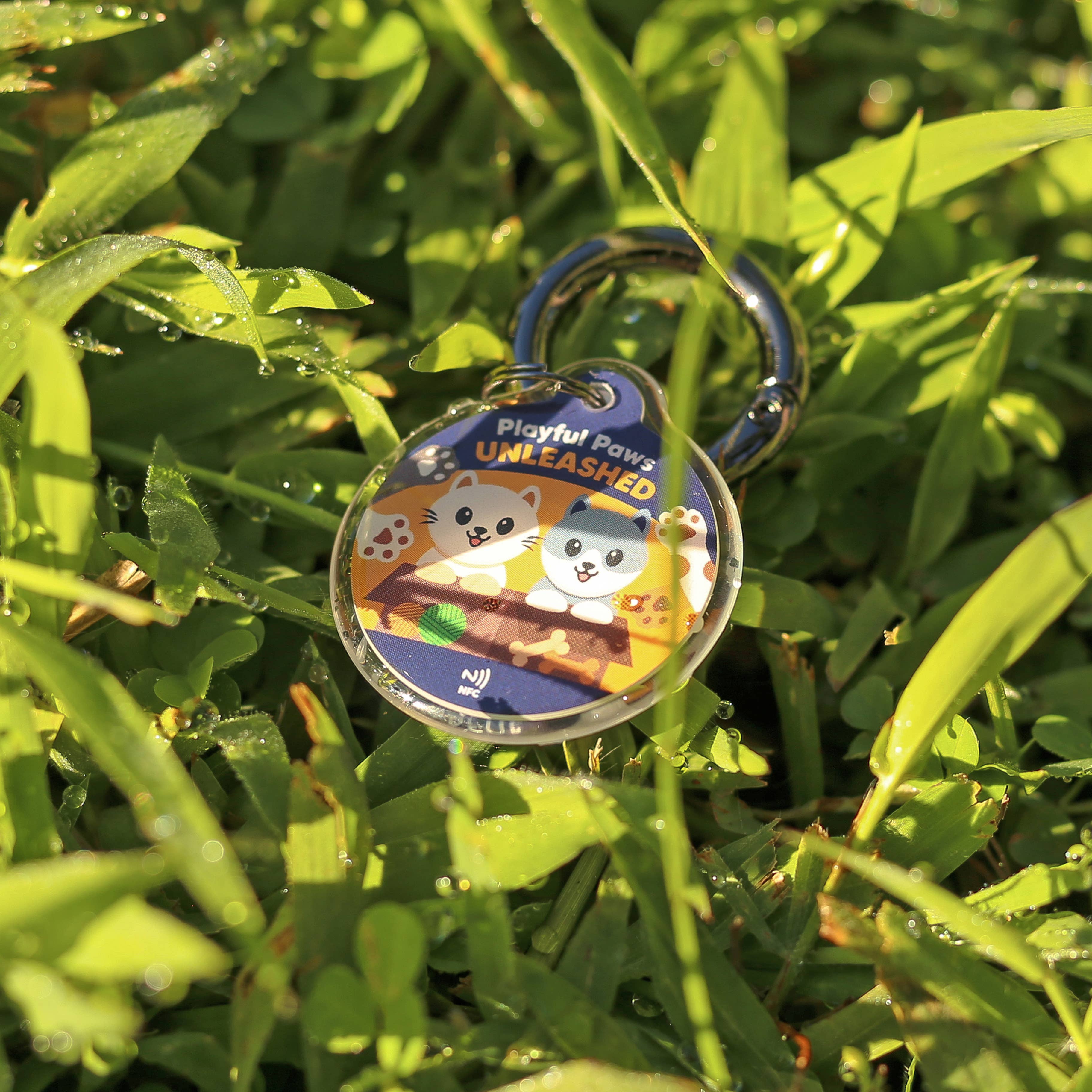 Pawnec - Wholesale Pet Identification Tag - Cat/Dog - IndieTag "Glow n Go"11