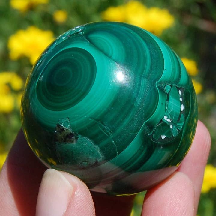 1.75in 196g Malachite Crystal Sphere, Congo for wholesale by Caspar Curiosities