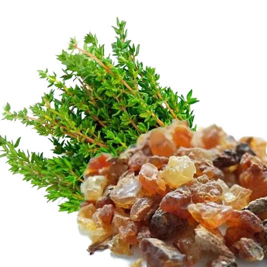 Arômes & Évasions – wholesale Eterisk olja – Eterisk olja -Myrra (Commiphora Myrrha)