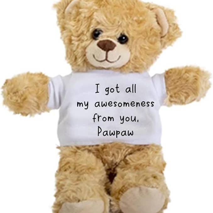 CustomHappy - Wholesale Stuffed/Plush Toy - Kids & Baby - Pawpaw Teddy Bear0