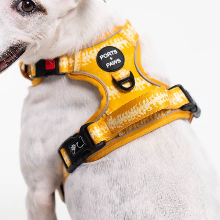 ROBUSTES GESCHIRR - PUAKENIKENI für den Großhandel von Ports and Paws