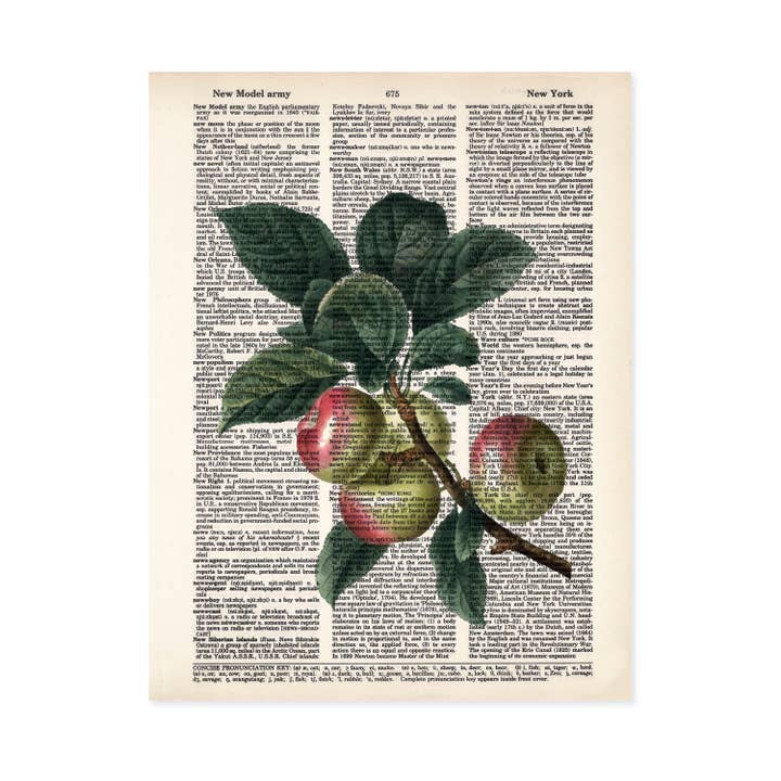 Apple Vintage Botany Book Art Print on Dictionary Page for wholesale by Blue Twist & Co