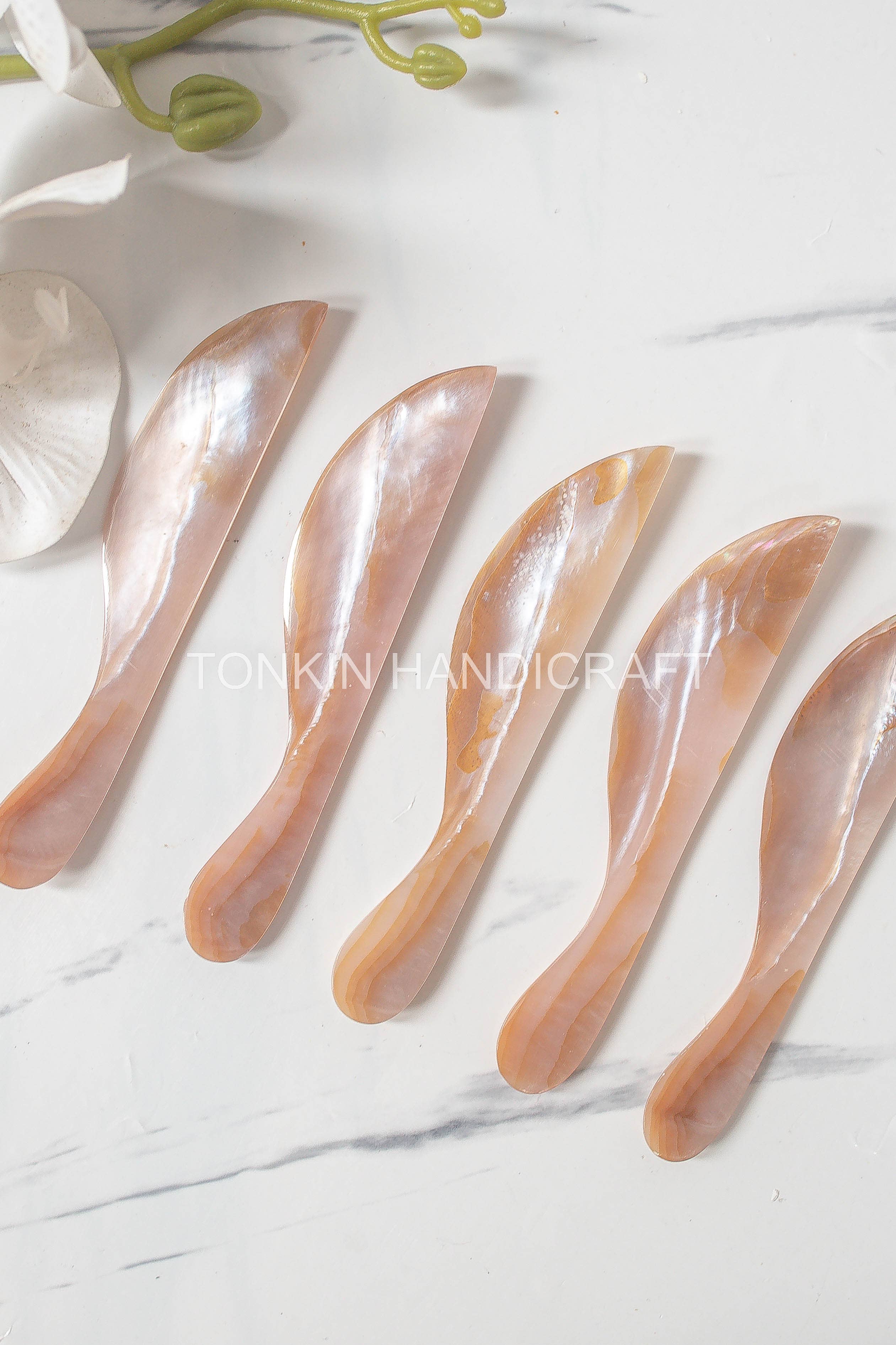 Tonkin Handicraft - Wholesale Cheese Spreader - Seashell Butter Spreader 52