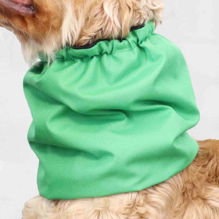 Vattentät Hundmössa | Gräsgrön för wholesale av Distinguish Me