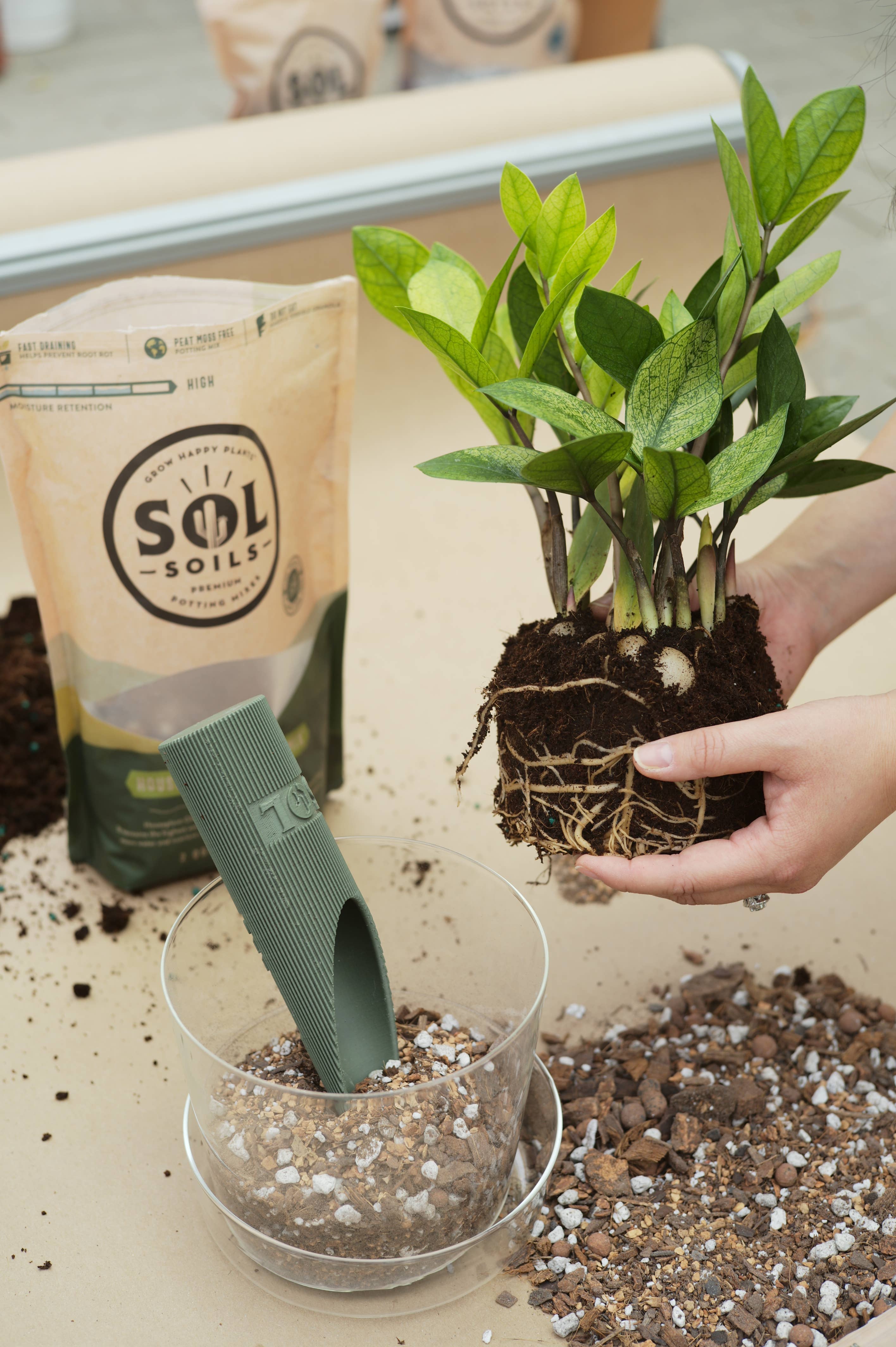 Sol Soils - Vente Terreau de plantation/rempotage - Mélange de terre (2 pintes) pour plantes d'intérieur (mélange aride/tropical)10