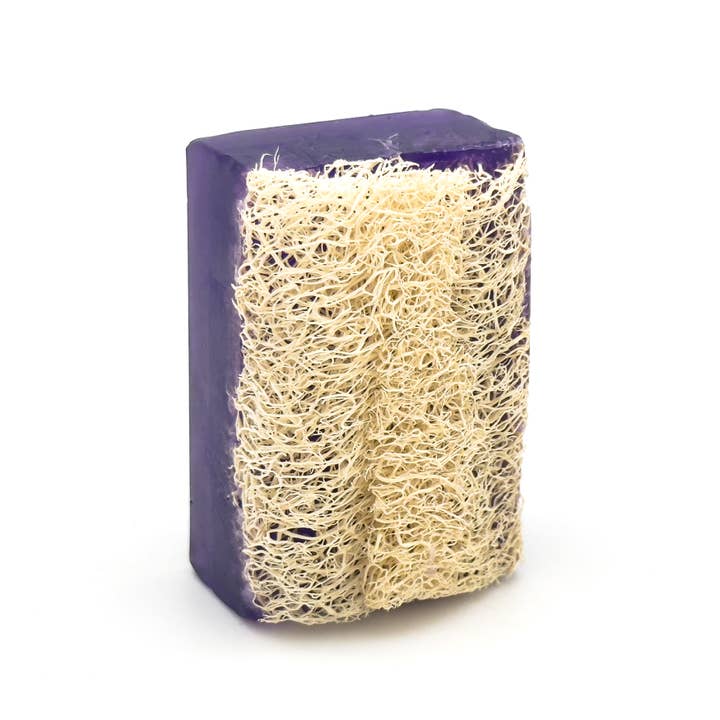 Avlia Home - Wholesale Bar Soap - Avlia Lavender & Loofah Exfoliating Bar (3.5oz)7