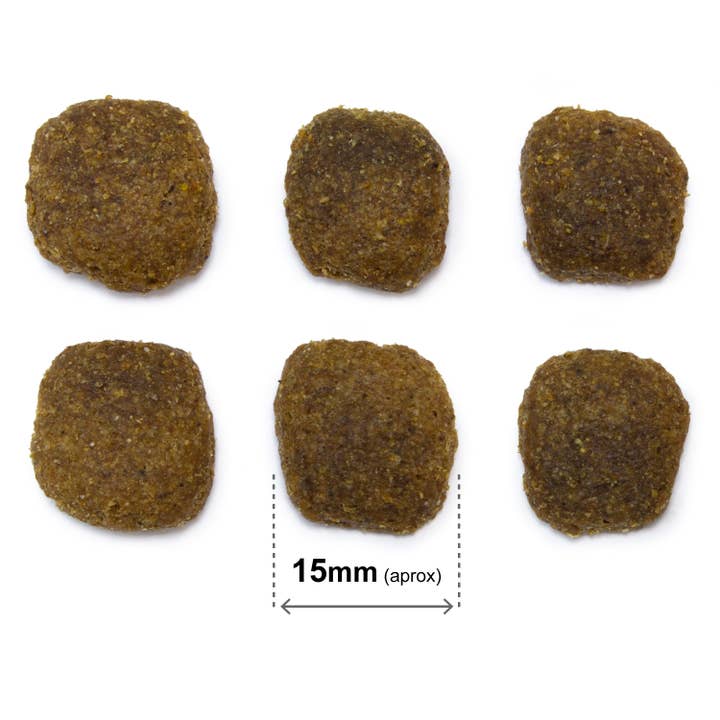 ARQUIVET, S.L.U. – Engroshandel Foder - Hund – Original Dog Archive - Voksen Laks 20 Kg2