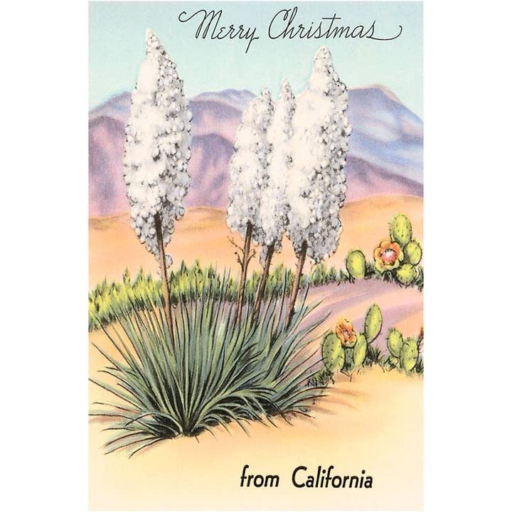 Postcard CC-09 Yuccas for wholesale by Found Image Press