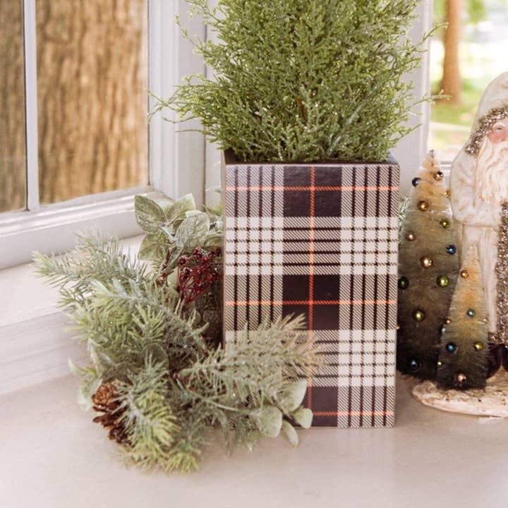 8" BLACK, WHITE & RED BOTANIC BOX for wholesale by Ragon House