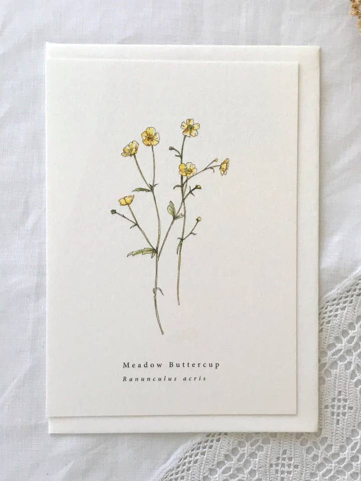 Buttercup Botanical Illustration Summer Card for wholesale by Annie Brougham Paper Goods.