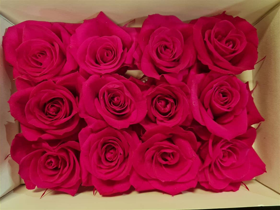 Dutch Flower Studio - Wholesale Artificial Flowers - 🌸 Preserved Roses - 10 colors - Decoration - Flowers - 4 cm1