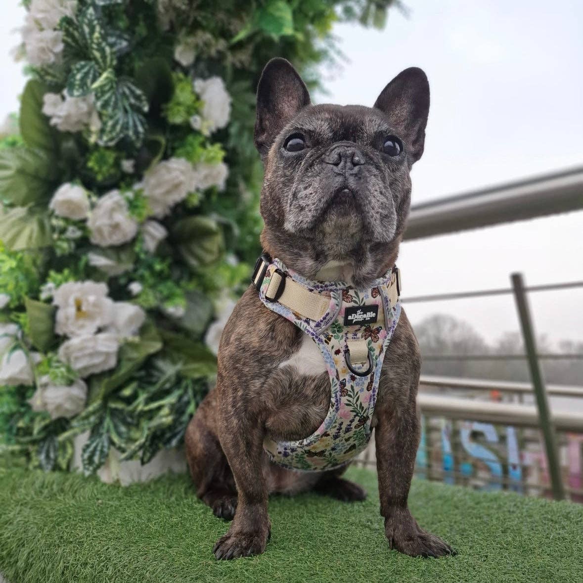 The aDoraBle Pooch Company – Arnês – Cão por atacado – Arnês Hike & Go Lite™ - Bumbles & Butterflies33