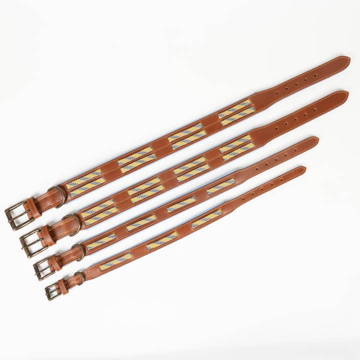 Dogs and Cats Oh My - Wholesale Pet Collar - Dog - Leather Buckle Collar with Paracord Insert5