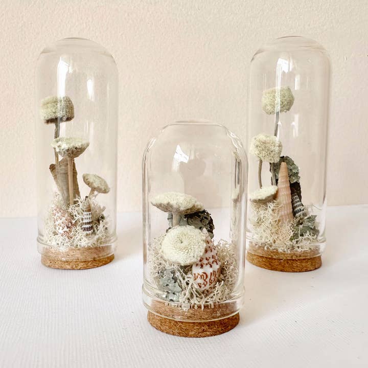 Stony BeachĀ Mini Terrarium Desk Decor With Dried Florals for wholesale by CA Studios