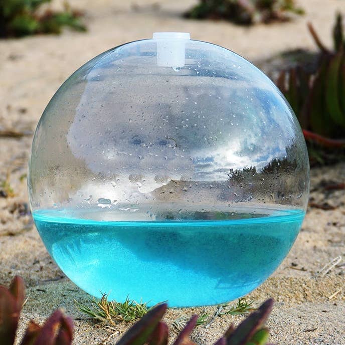 Dionutriments Blue Boost pour la vente par PyroFarms