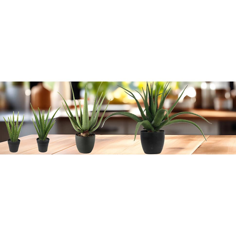 Michael & Philipp Noll e. K. - Vendita all'ingrosso Piante artificiali - Pianta artificiale di aloe vera in vaso nero, aspetto molto realistico7