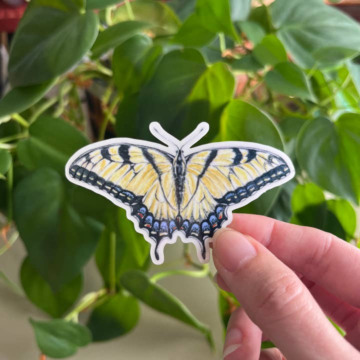 Lauren Noel Studio - Wholesale Sticker - Tiger Swallowtail Butterfly Sticker1