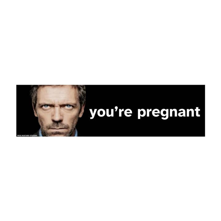 Frog Mustard Stickers - Wholesale Sticker - MD Gregory House Meme "You're Pregnant" Sticker or Magnet | Satire | 8.5" x 2.5" Premium Weather-proof Vinyl