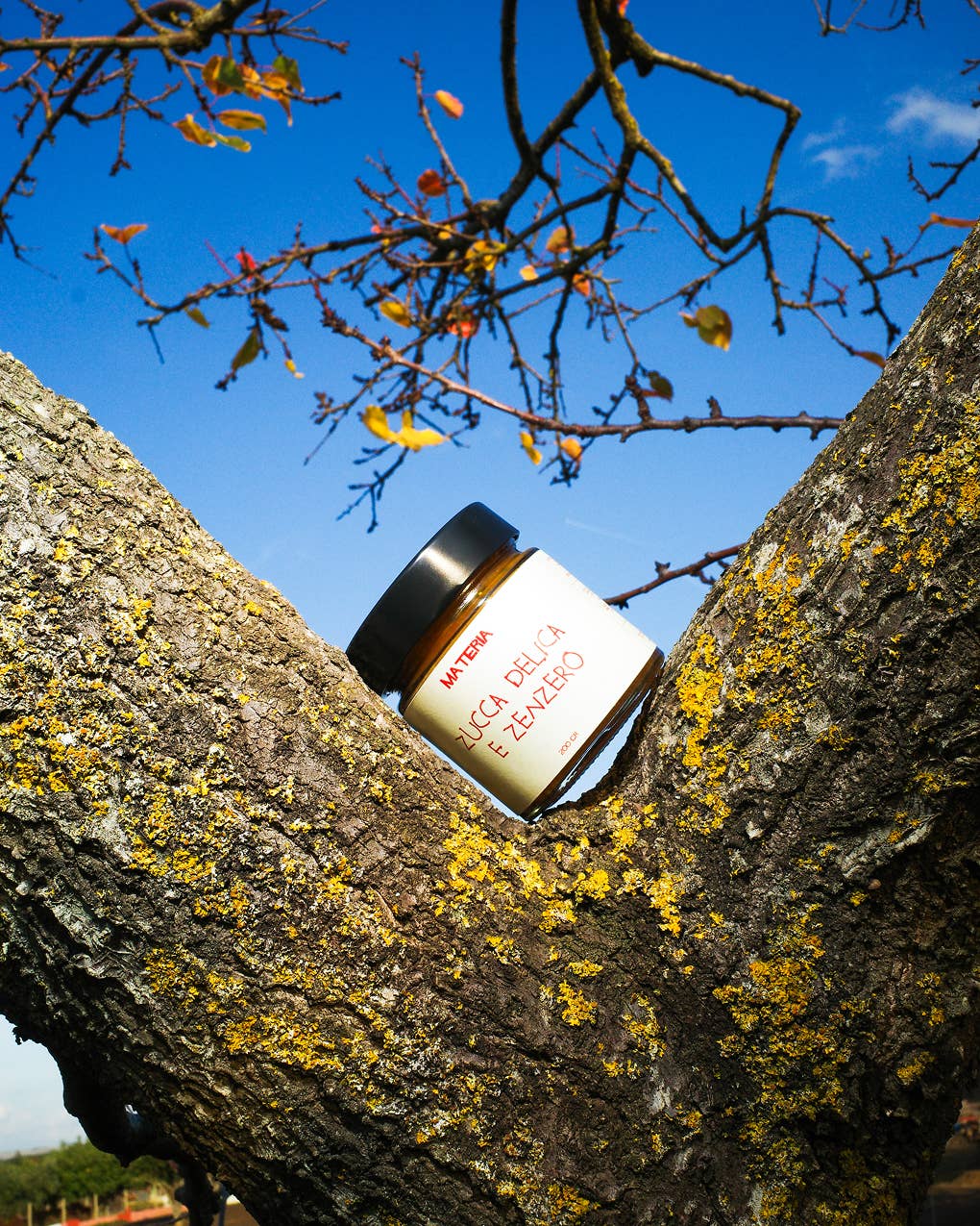 Materia - Wholesale Jam/Jelly - Delica Pumpkin and Ginger Jam - Zero Waste3