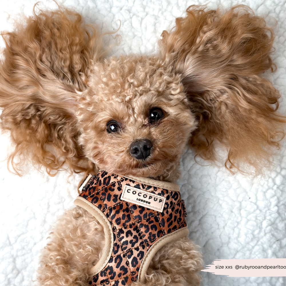 Cocopup London - Wholesale Pet Harness - Dog - Quilted Leopard Pup Adjustable Neck Harness12