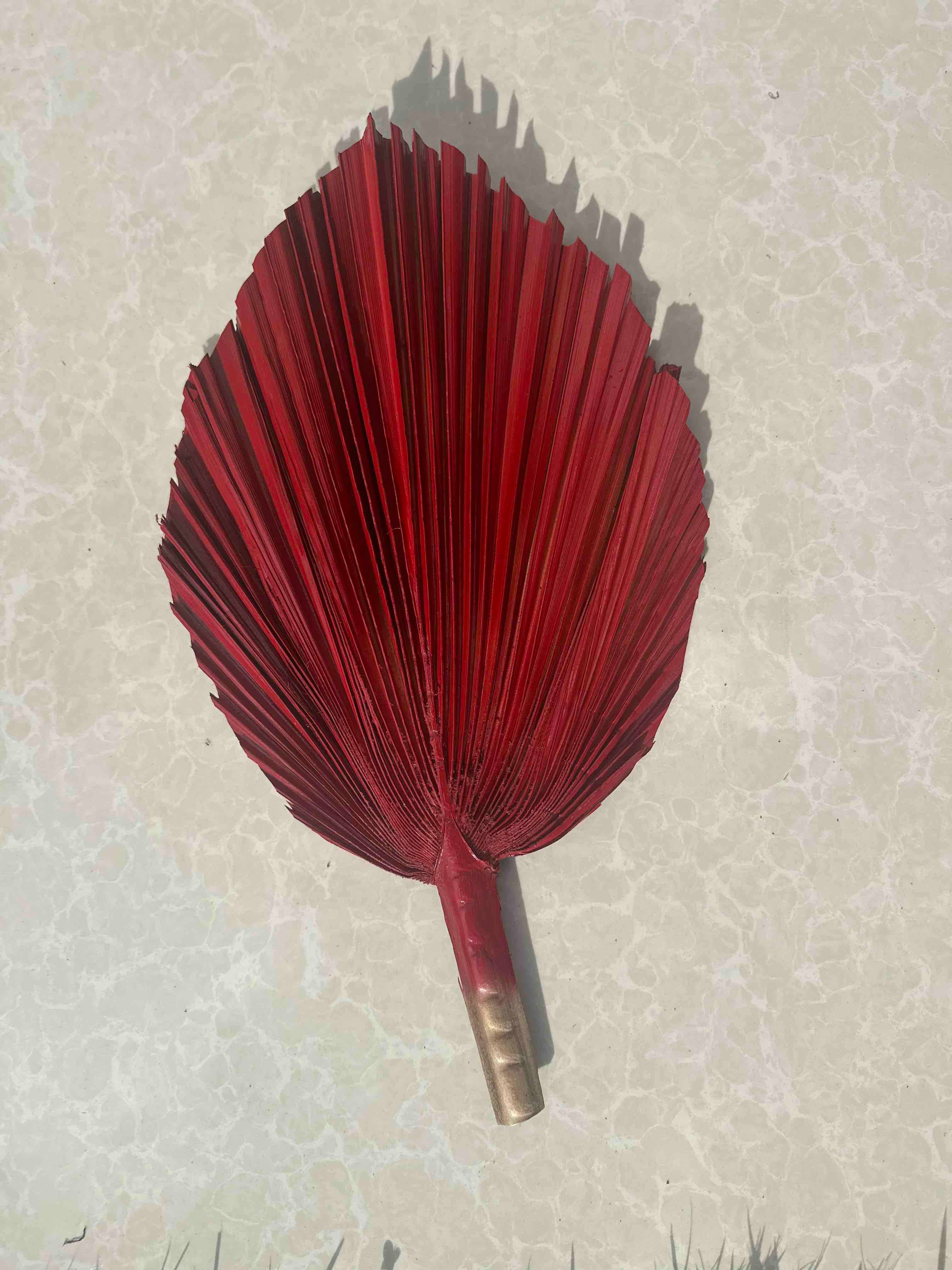 The Blooming Palm - Wholesale Retailer Sample - Home Decor - 14" PINK SunDried Painted Palm Leaf Decor, SAME DAY SHP  6