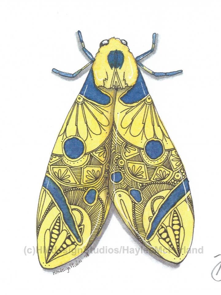 Moth #23 Small Art Print for wholesale by HMdesignStudios