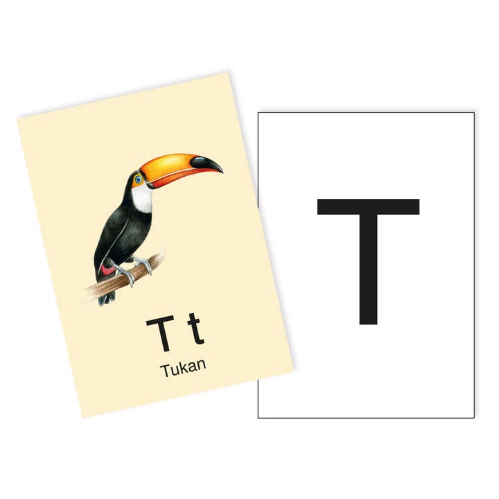 1 Postkarte T wi Tukan Ergänzungskarte zum ABC Karten Set für den Großhandel von fioniony®