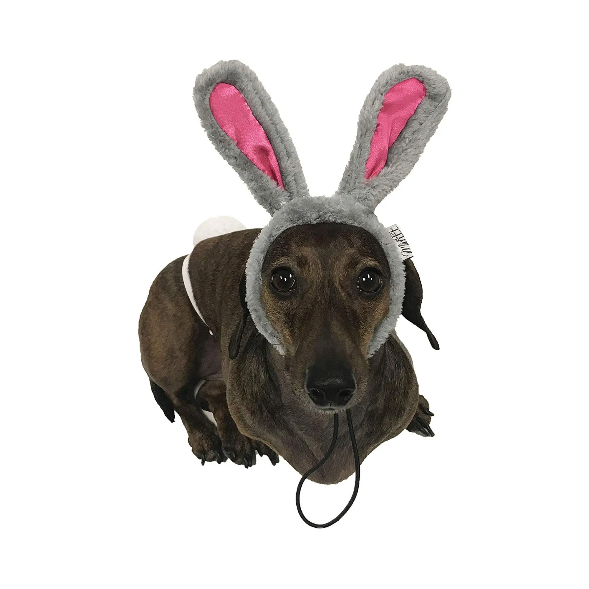Midlee Designs - Wholesale Pet Costume - Dog - Midlee Easter Bunny Gray & Pink Rabbit Ears with Tail3