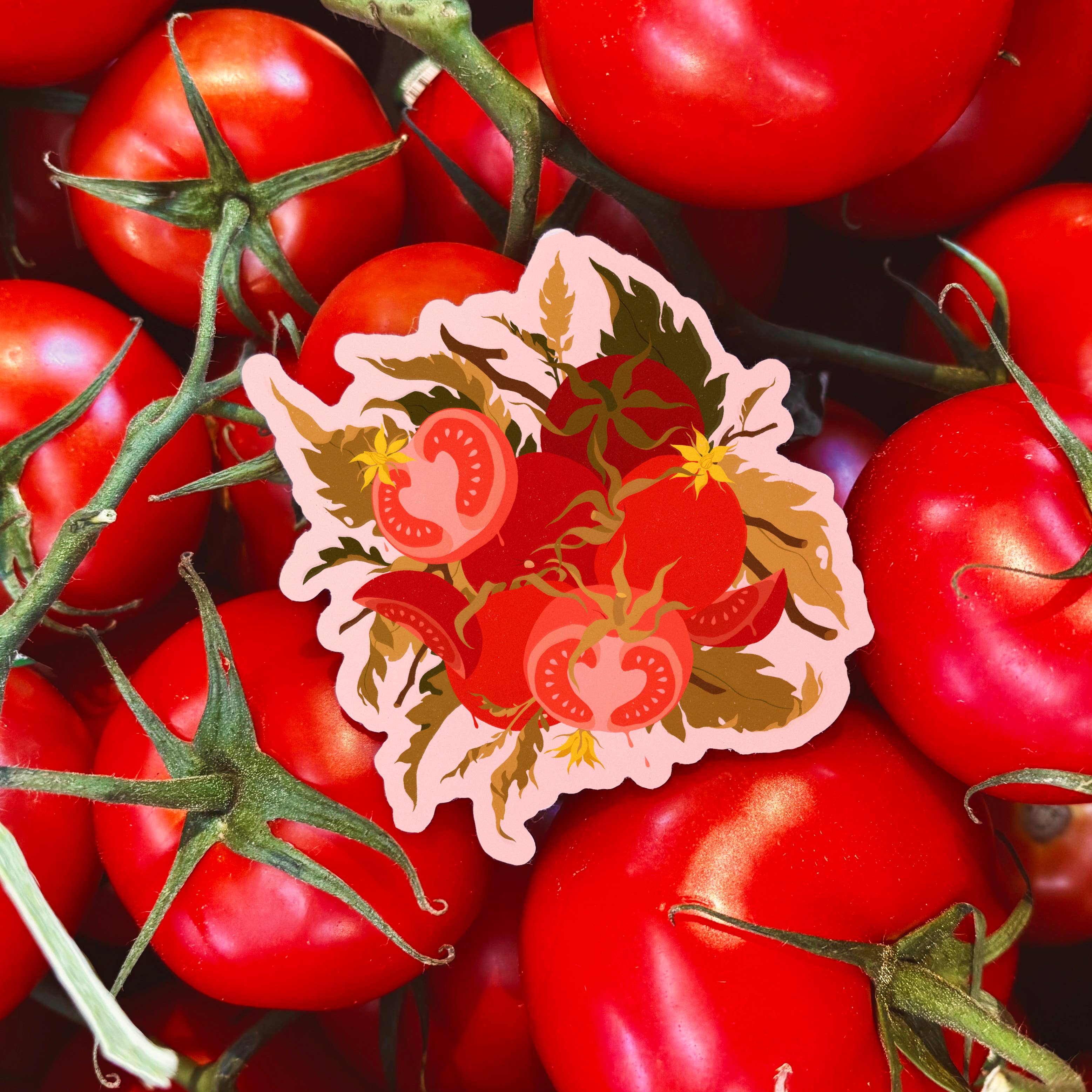 Samantha Mash Illustration - Wholesale Sticker - Tomaten Waterdichte Vinylsticker1