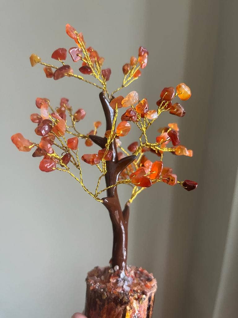 jiomind - Wholesale Spiritual Stone/Crystal - Red Carnelian Crystal Tree (100 chips)3
