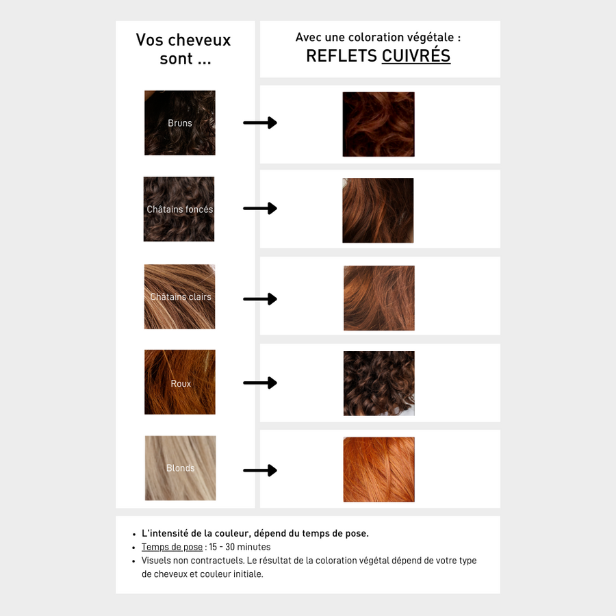 Serge D'Estel - Wholesale Hair Dye - Copper reflections coloring 1Kg4