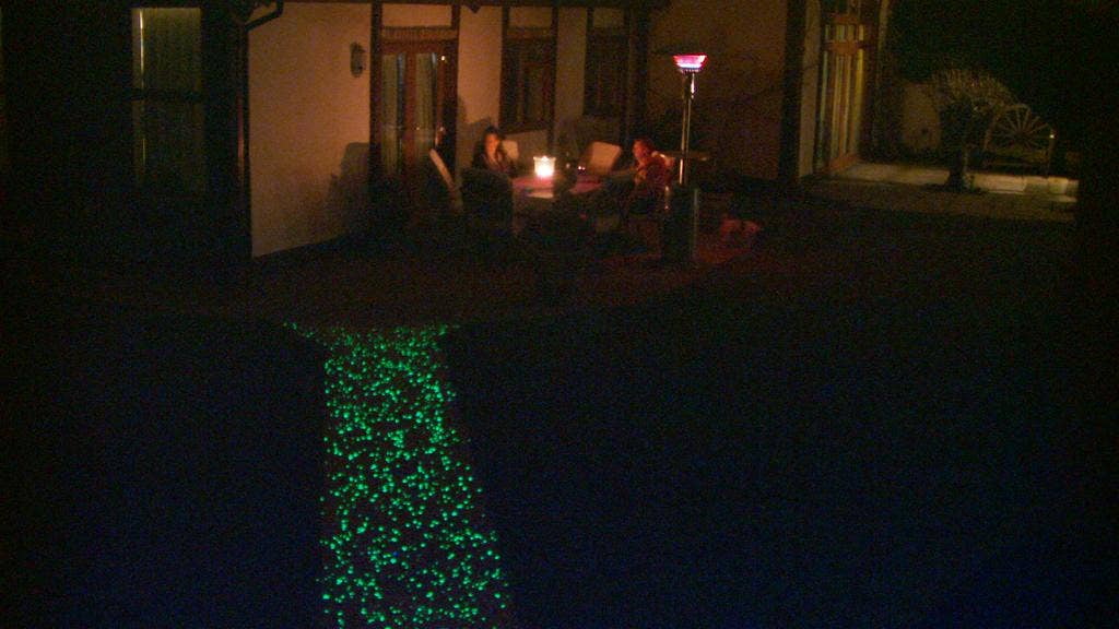 IT GLOWS - Wholesale Stepping Stone - 3-8mm Premium Grade Glow Rocks - Green/ Glow Stones/ Garden3