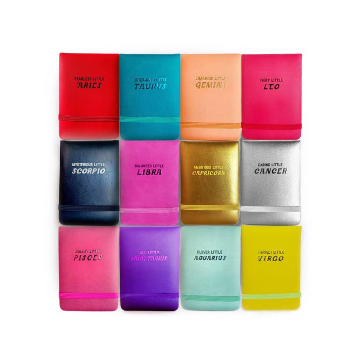 Golden Gems - Wholesale Journal/Diary - Ambitious Little Capricorn - Mini Journal2