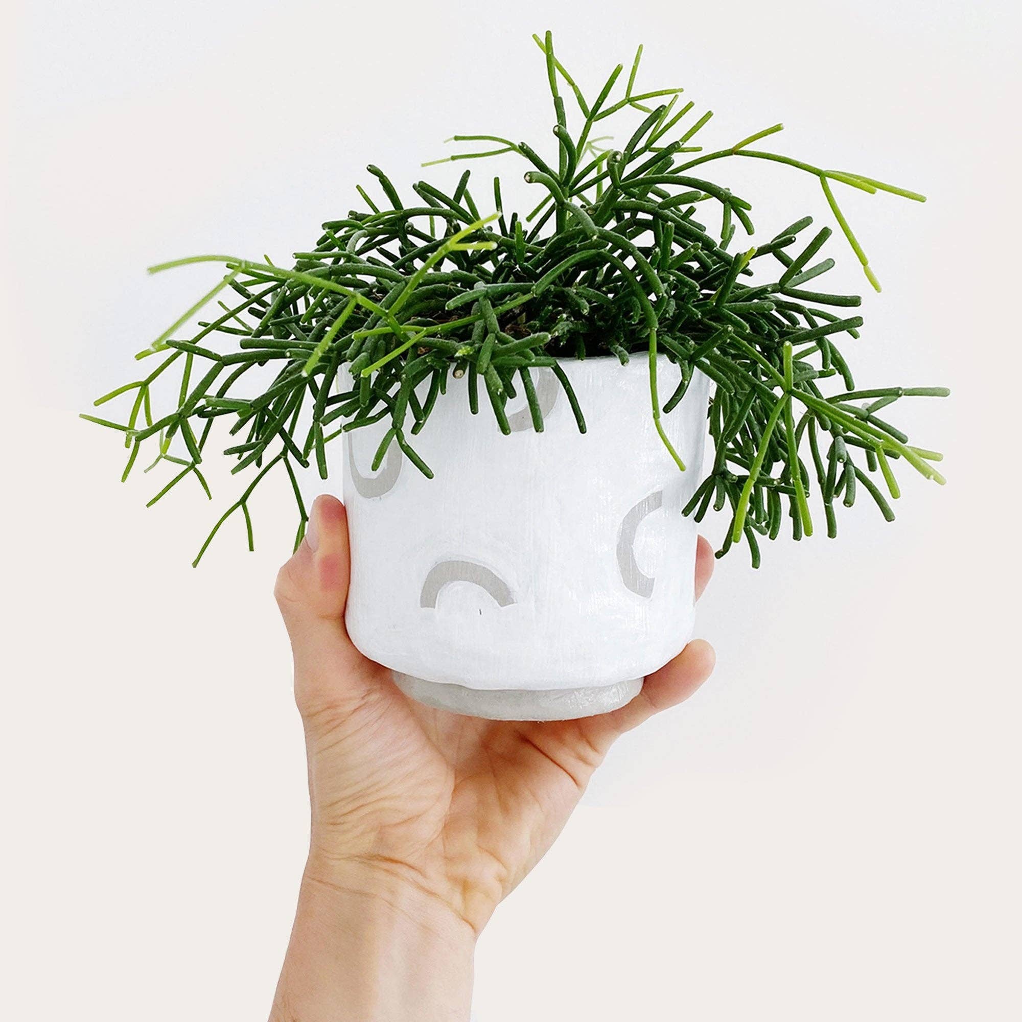 Sculpd US - Wholesale DIY Craft Kit - Sculpd Air Dry Clay Home Pottery Kit8