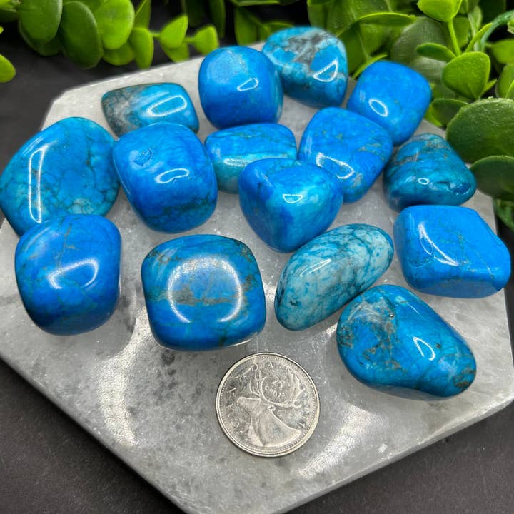 Moonbeam Healing - Wholesale Spiritual Stone/Crystal - Turquoise Howlite Tumbled Stone (M-L)2
