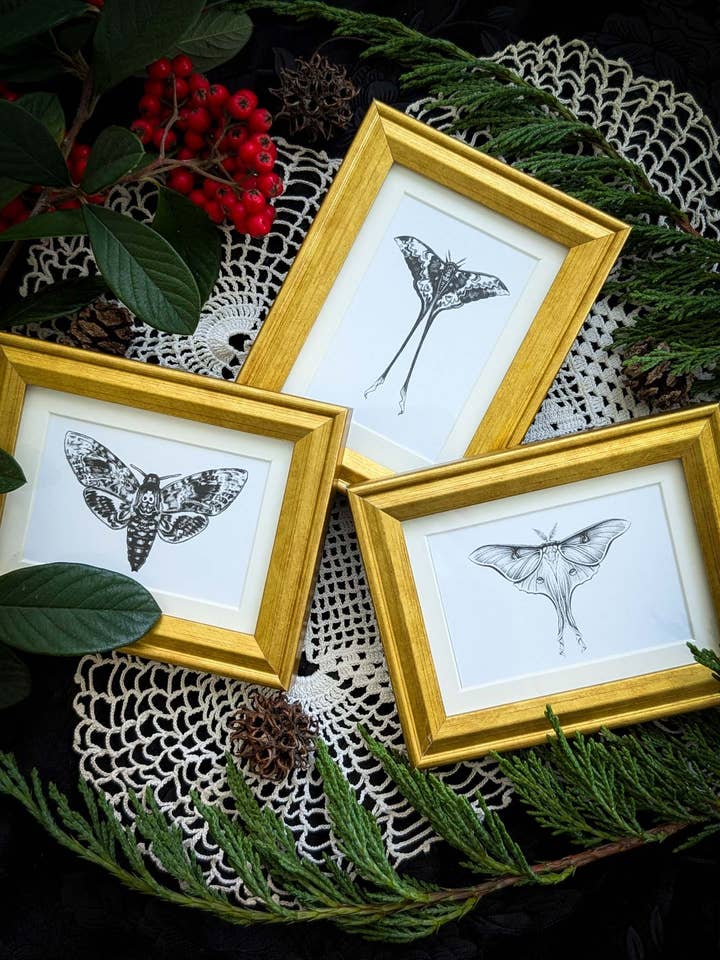 Moth Trio- Mini Framed Prints for wholesale by Studio Umbralux