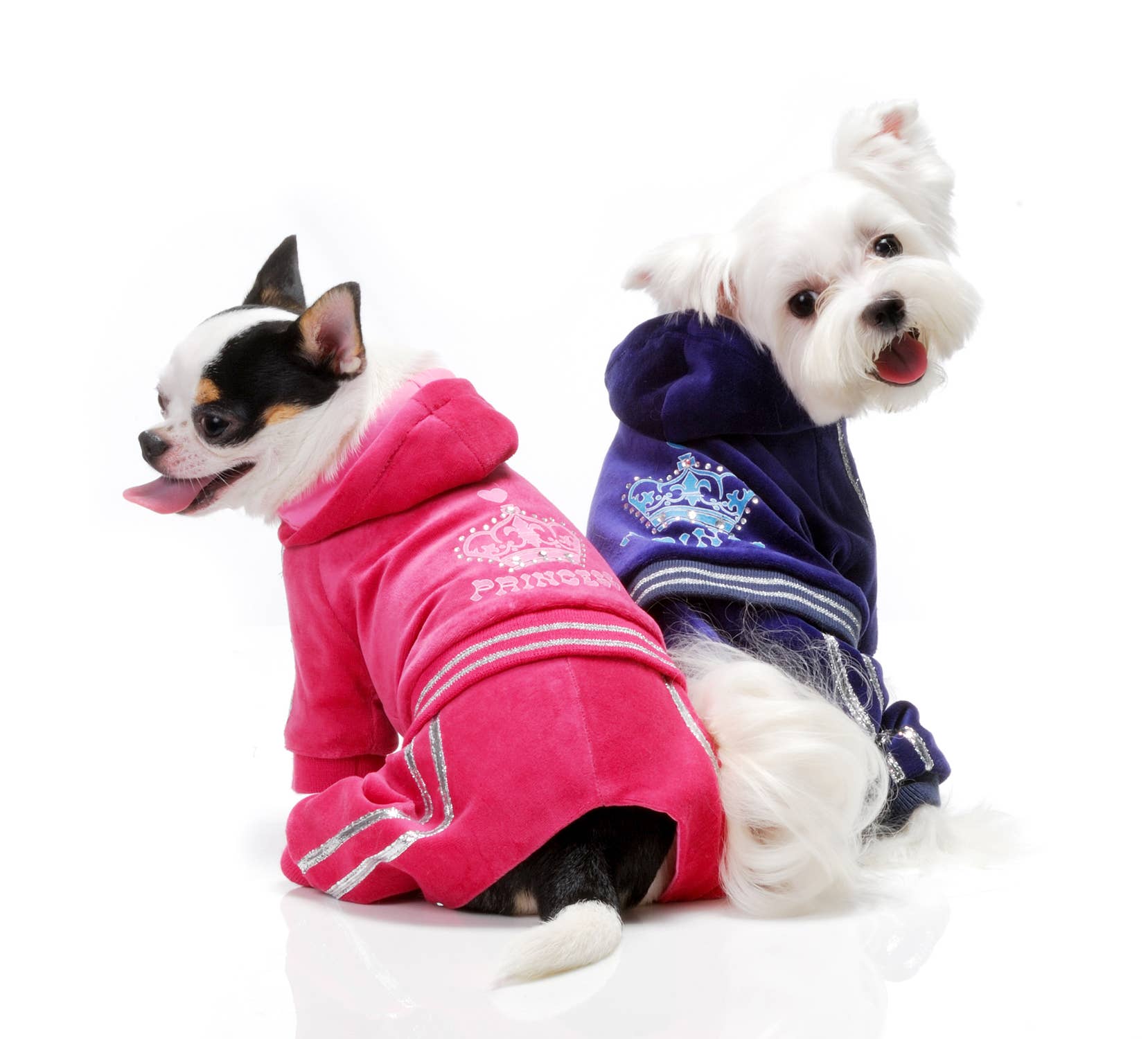 Pooch Outfitters - Wholesale Pet Costume - Dog - Prince Jumper2