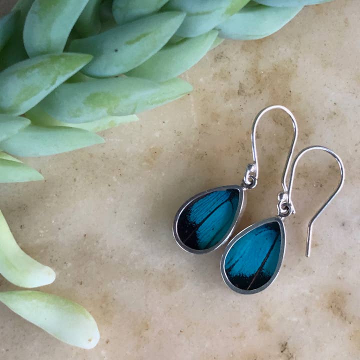 Women of the Cloud Forest - Wholesale Dangle Earrings - Three-toned Prepona Butterfly Earrings0