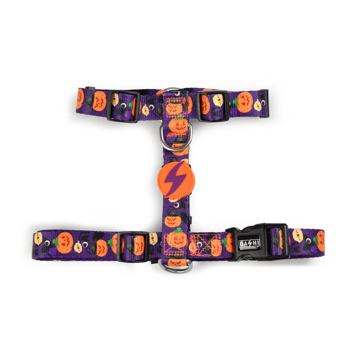 Pumpkin sele til hund for engroshandel hos DASHI