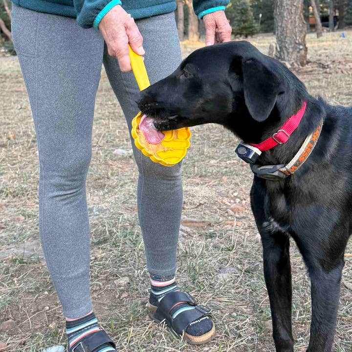 SodaPup Dog Toys - Wholesale Pet Toy - Dog - Lick Stick Hand-Held Interactive Enrichment Toys